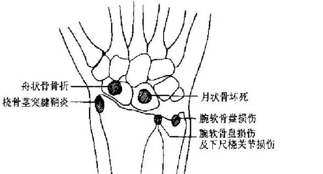 开云体育app