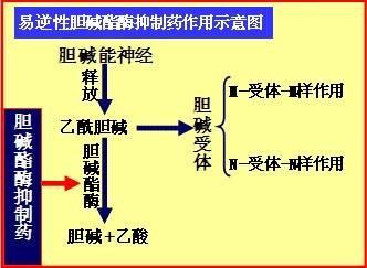 开云体育app_许魏洲让彭昱畅看自己的吻戏  网友：彭彭学到了吗