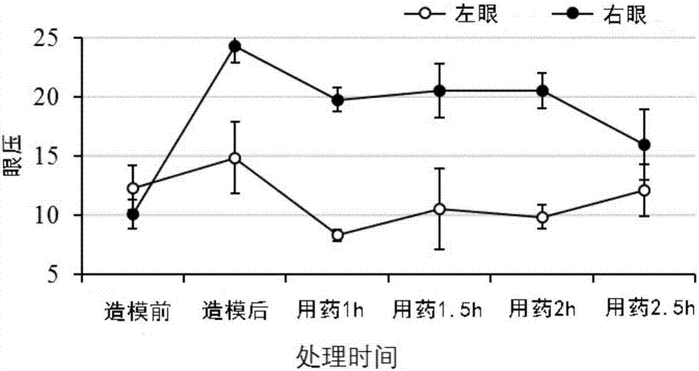 开云体育app