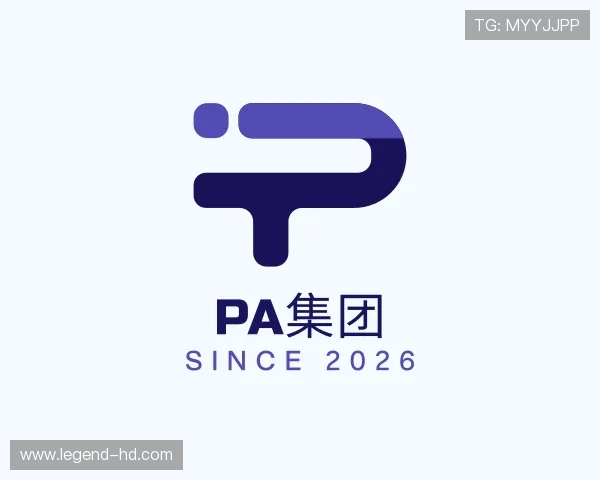 介绍PA集团